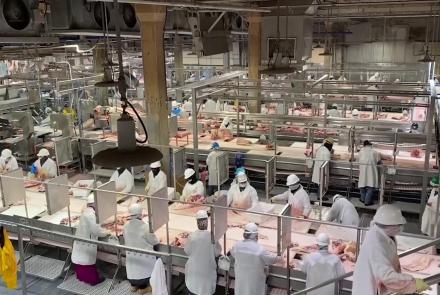 The push to vaccinate meat-packing plants workers: asset-mezzanine-16x9
