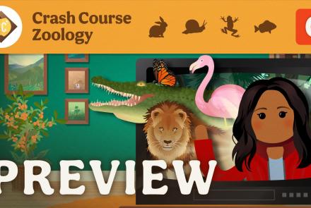Crash Course Zoology Preview: asset-mezzanine-16x9