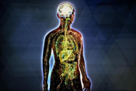 What is the Endocannabinoid System?: asset-mezzanine-16x9