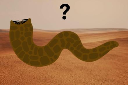 Could a "Dune" Sandworm Exist in Real Life?: asset-mezzanine-16x9