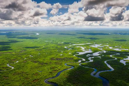 The Secret Islands of the Everglades: asset-mezzanine-16x9