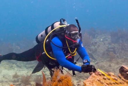 Black scuba divers explore the wreckage of slave ships: asset-mezzanine-16x9