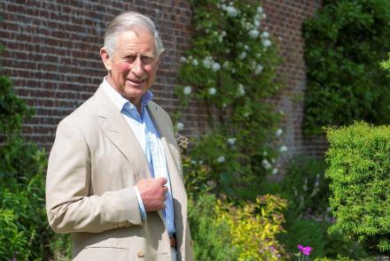 Prince Charles at 70: asset-mezzanine-16x9