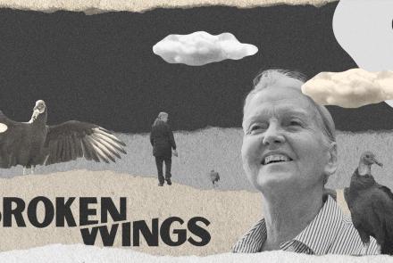 Broken Wings | Preview: asset-mezzanine-16x9