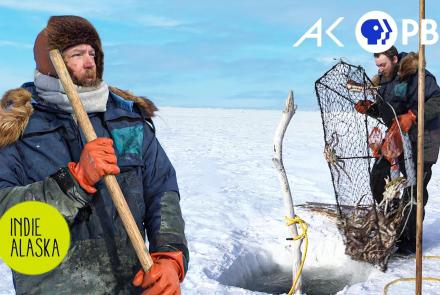 Crabbing beneath the Bering Sea Ice in Nome | INDIE ALASKA: asset-mezzanine-16x9