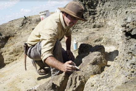 New Fossil May Reveal Clues to Dinosaurs' Final Days: asset-mezzanine-16x9