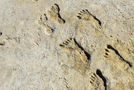 Ice Age Footprints Preview: asset-mezzanine-16x9