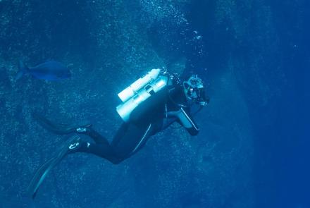 Shark Island Dive Testing: asset-mezzanine-16x9