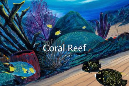 Coral Reef: asset-mezzanine-16x9