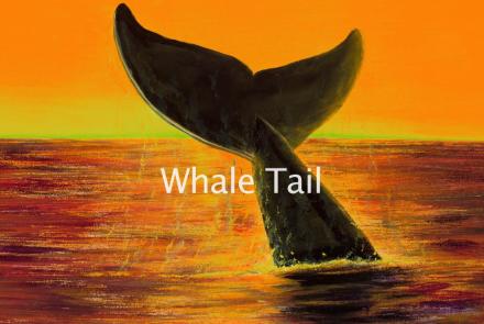 Whale Tail: asset-mezzanine-16x9