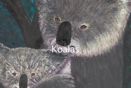 Koalas: asset-mezzanine-16x9