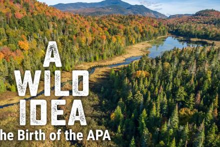A Wild Idea: The Birth of the APA: asset-mezzanine-16x9