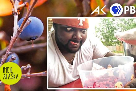 How a berry picker became a viral meme in Alaska: asset-mezzanine-16x9