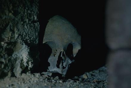 The Mystery Skull in The Crypt: asset-mezzanine-16x9