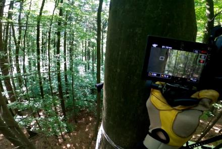 Filmmakers Travel to Poland to Capture "Coolest" Woodpeckers: asset-mezzanine-16x9