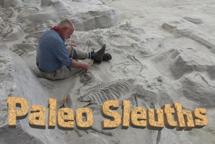 Paleo Sleuths: asset-mezzanine-16x9