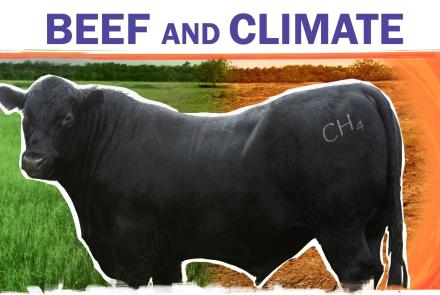 Beef Is Bad For The Climate. Can We Make It Better?: asset-mezzanine-16x9
