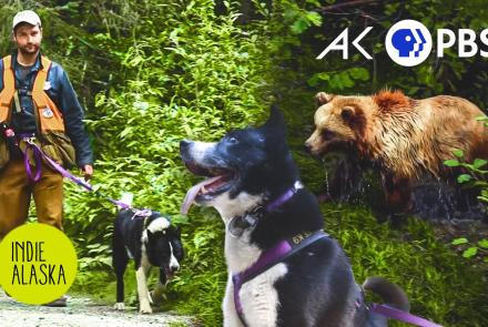 The Karelian Bear Dog: Protecting people and bears: asset-mezzanine-16x9