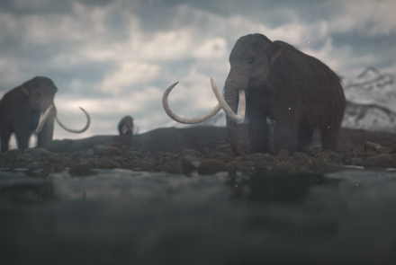 The Island of the Last Surviving Mammoths: asset-mezzanine-16x9