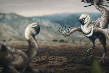 How Dinosaurs Coupled Up: asset-mezzanine-16x9