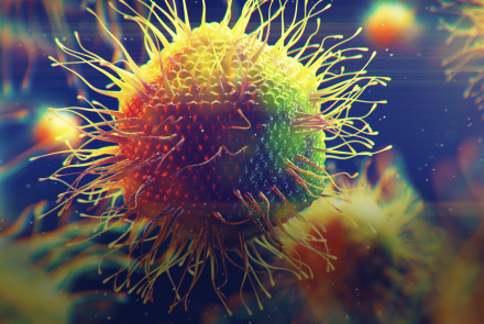 Giant Viruses Blur The Line Between Alive and Not: asset-mezzanine-16x9