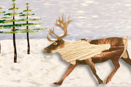 The REAL Rudolph Has Bloody Antlers and Super Vision: asset-mezzanine-16x9