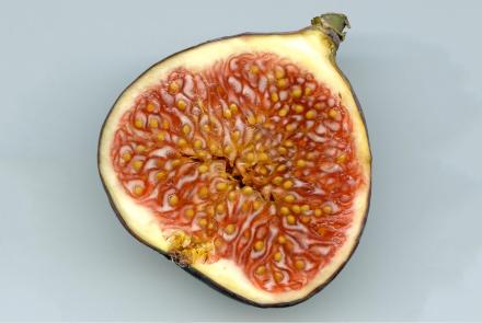 Are There Dead Wasps In Figs?: asset-mezzanine-16x9