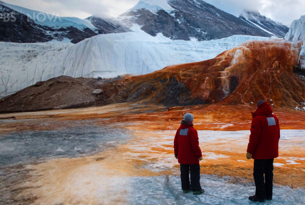 Why is this Antarctic Glacier “Bleeding?”: asset-mezzanine-16x9