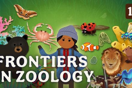 Frontiers in Zoology: asset-mezzanine-16x9