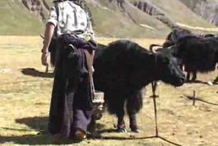 Tibet: Eye Camp: asset-mezzanine-16x9