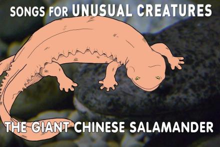 The World's Largest Salamander: asset-mezzanine-16x9