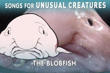 The Incredible True Story of the Blobfish : asset-mezzanine-16x9