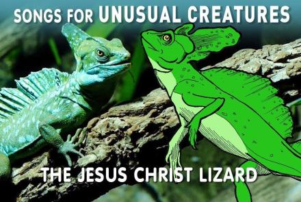The Jesus Christ Lizard: asset-mezzanine-16x9