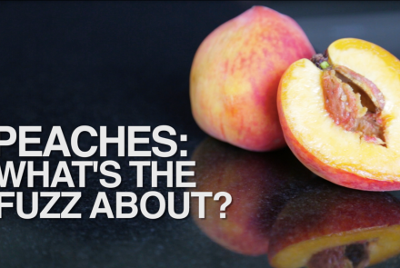 PEACHES: What's the Fuzz About?: asset-mezzanine-16x9
