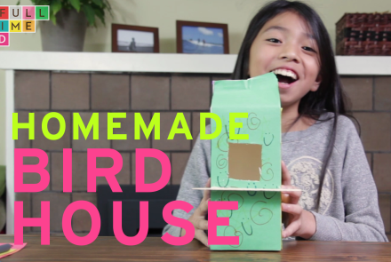 Homemade Bird House: asset-mezzanine-16x9