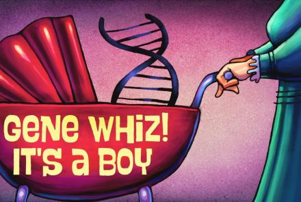 The Gene Explained | Gene Whiz! It's a Boy!: asset-mezzanine-16x9