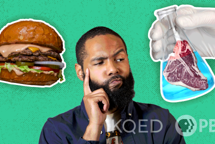 Is Lab-Grown Meat The Answer To Our Meat Eating Problems?: asset-mezzanine-16x9