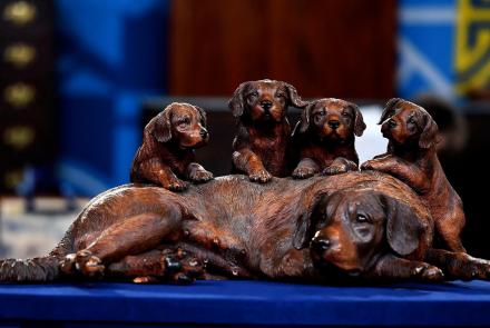 Appraisal: Walter Mader Black Forest Carved Dogs, ca. 1900: asset-mezzanine-16x9