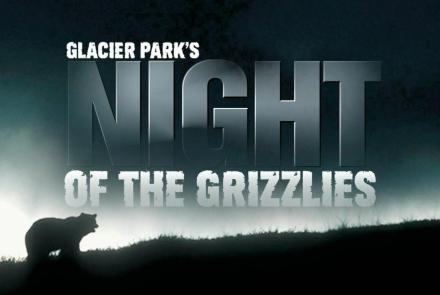 Glacier Park's Night of the Grizzlies: asset-mezzanine-16x9
