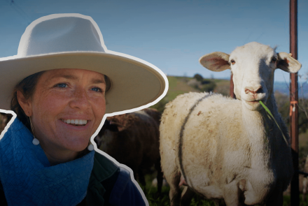 How this Shepherdess and Her Sheep are Restoring California: asset-mezzanine-16x9
