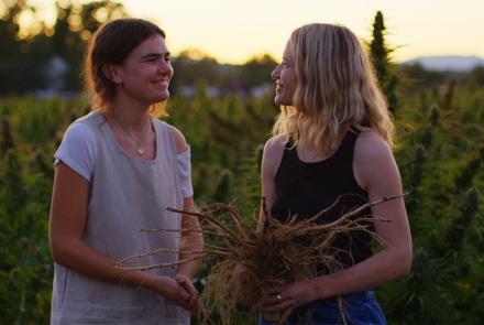 How Two Sisters Are Reviving Damaged Farmland With Hemp: asset-mezzanine-16x9