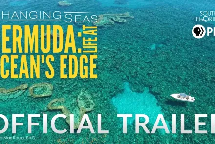 Bermuda: Life at Ocean's Edge | Changing Seas | Preview: asset-mezzanine-16x9