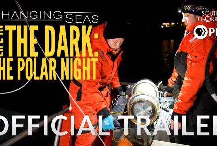 Life in The Dark: The Polar Night  | Changing Seas | Preview: asset-original