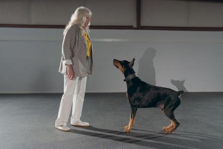 A Day at a Canine Freestyle Dance Class: asset-mezzanine-16x9
