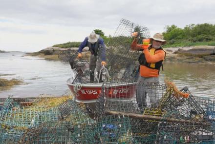 Why 'ghost gear' is being removed from the Gulf of Maine: asset-mezzanine-16x9