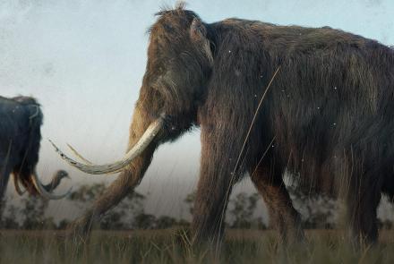 We Can “Bring Back” The Woolly Mammoth. Should We?: asset-mezzanine-16x9