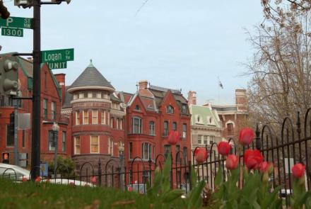 Logan Circle Residents Reflect on the Changes They've Seen: asset-mezzanine-16x9