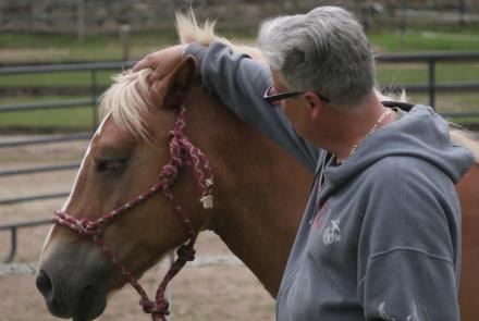 These horses help veterans cope with the trauma of combat: asset-mezzanine-16x9