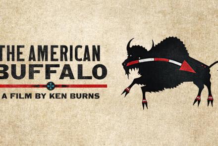 The American Buffalo: show-mezzanine16x9