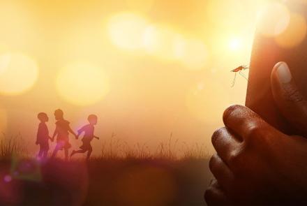 The Battle to Beat Malaria: asset-mezzanine-16x9